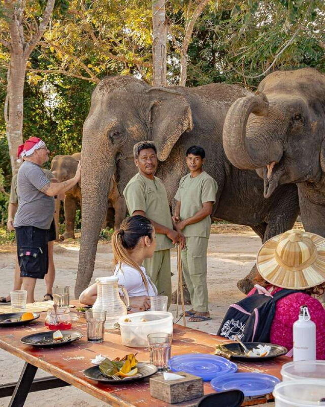 kulen-elephant-forest-tonlesap-lake