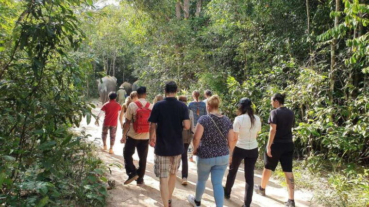 kulen-elephant-forest-tonlesap-lake