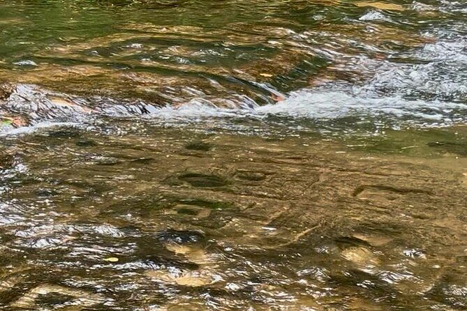 Kulen Mountain Waterfalls the National Park - The Sum Up: Who Should Book This Tour?