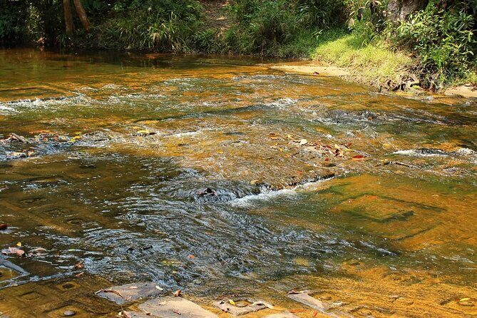 Kulen Mountain With Ticket included Plus Banteay Srei Temple Tour - What Travelers Love About This Tour