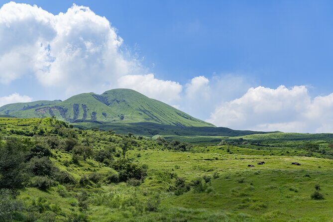 Kumamoto Castle Suizenji Garden and Aso Full-Day Tour Option - An In-Depth Look at the Tour Experience