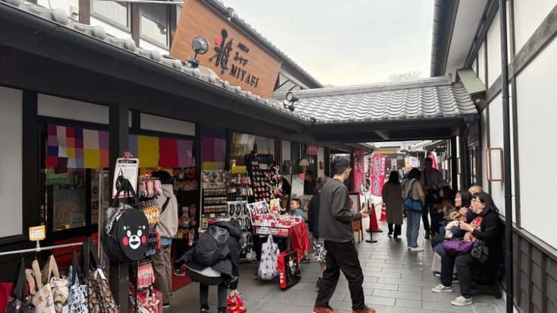 Kumamoto City: Private Castle Tour & Hidden Local Eats - Key Points