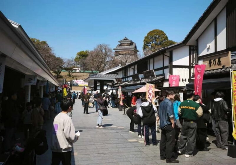 Kumamoto City: Private Castle Tour & Hidden Local Eats - The Value of a Private Tour