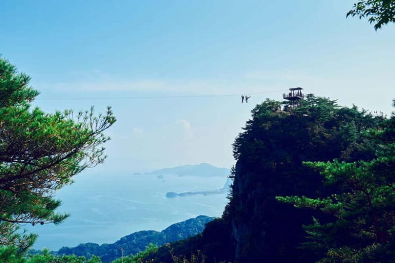 Kumamoto: Dolphin Watching and Zipline Experience Tour - Key Points