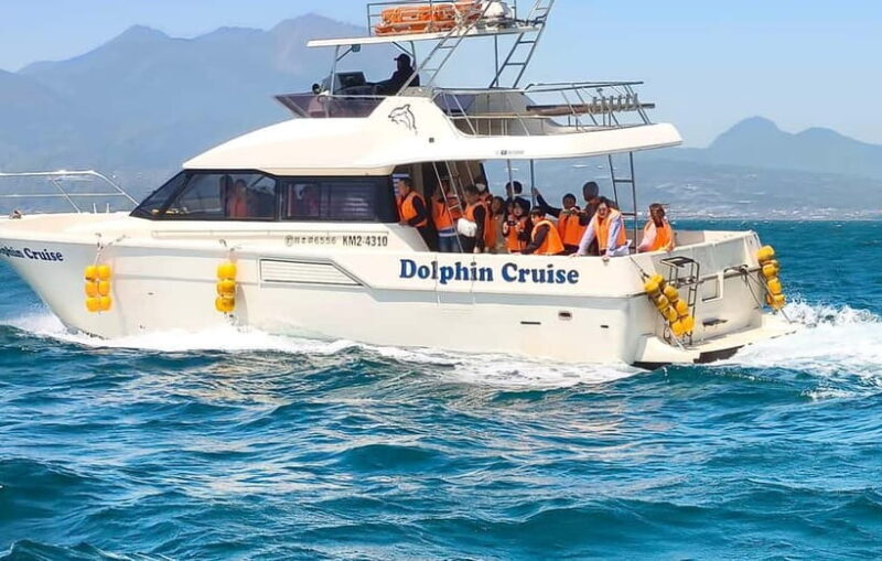 Kumamoto: Dolphin Watching and Zipline Experience Tour - Practical Details and What to Expect