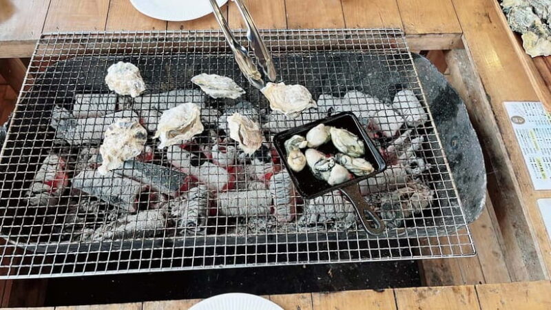 Kumamoto: Dolphin Watching and Zipline Experience Tour - The Sum Up