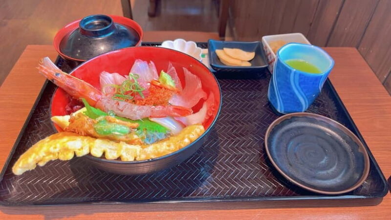 Kumamoto: Dolphin Watching and Zipline Experience Tour - FAQs