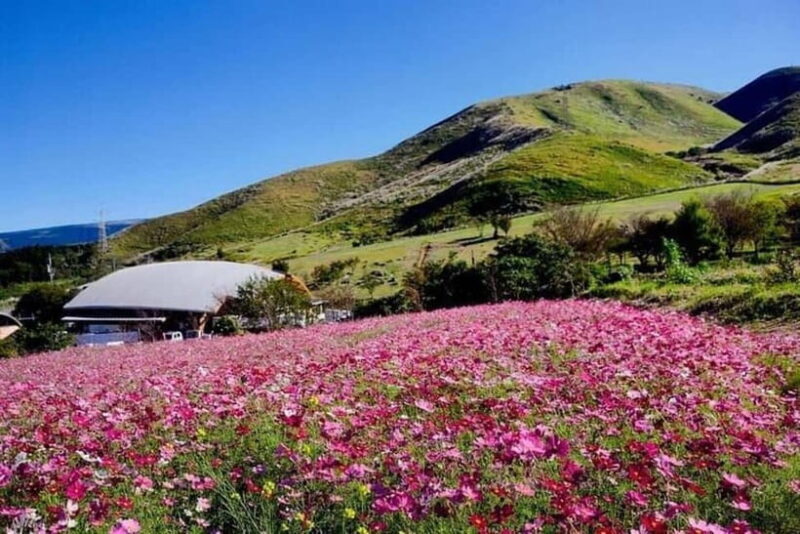 Kumamoto Iconic Statues World of Pirates Adventure Tour - Why You’ll Love the Kumamoto Iconic Statues Tour