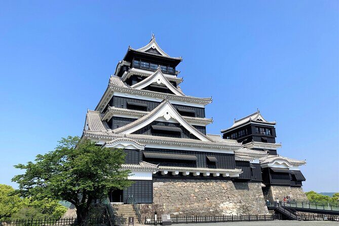 Kumamoto: Kumamoto Castle, Kato Shrine, & Museum Tour 3h - Key Points