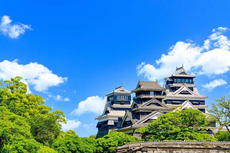 Kumamoto Private Tour with Government-Licensed Guide - Exploring Kumamoto on Your Terms