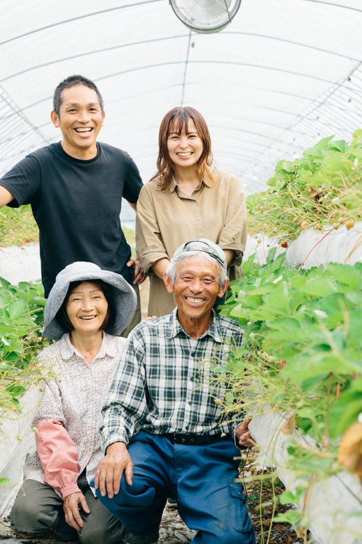 kumamoto-strawberry-picking-with-dessert-at-nakahata-farm