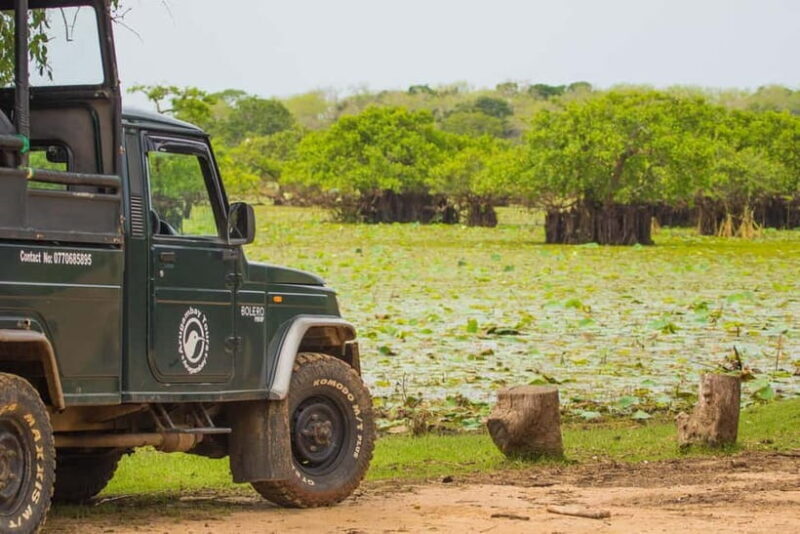 Kumana National Park Half day Jeep safari Morning/Afternoon - Frequently Asked Questions