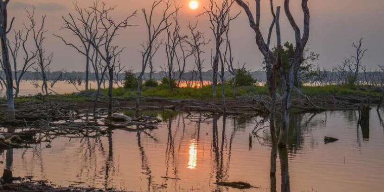 kumana-national-park-morning-or-afternoon-leopard-safari