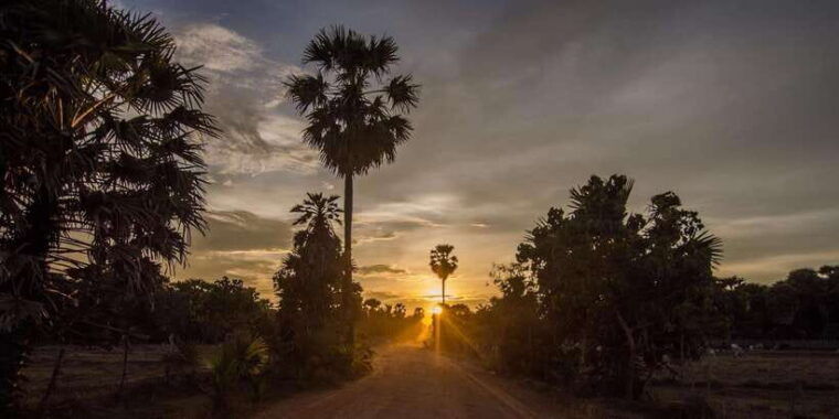 kumana-national-park-morning-or-afternoon-leopard-safari
