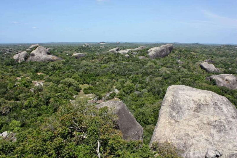 kumana-national-park-morning-or-afternoon-safari-tour