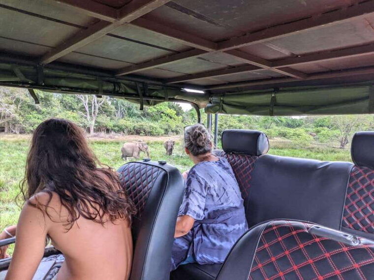 kumana-national-park-morning-or-afternoon-safari-tour