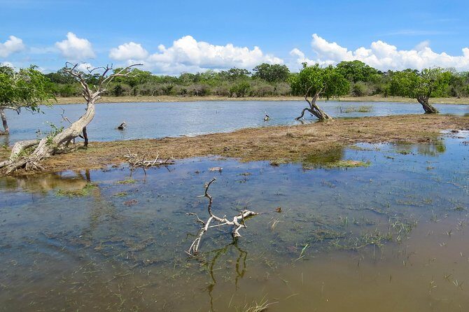 Kumana National Park Private Safari - Transportation & Logistics