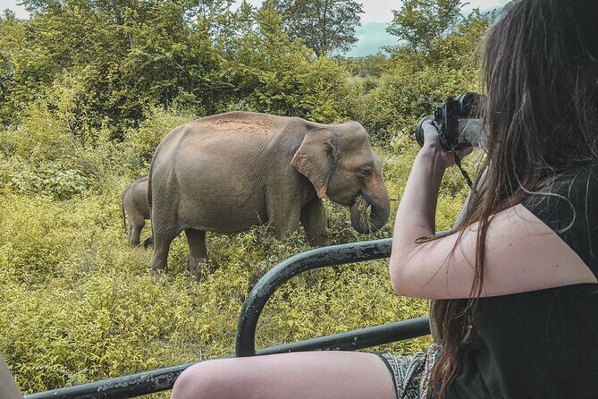 Kumana Safari Drive from Arugam Bay - An Authentic Encounter with Sri Lanka’s Wild Side