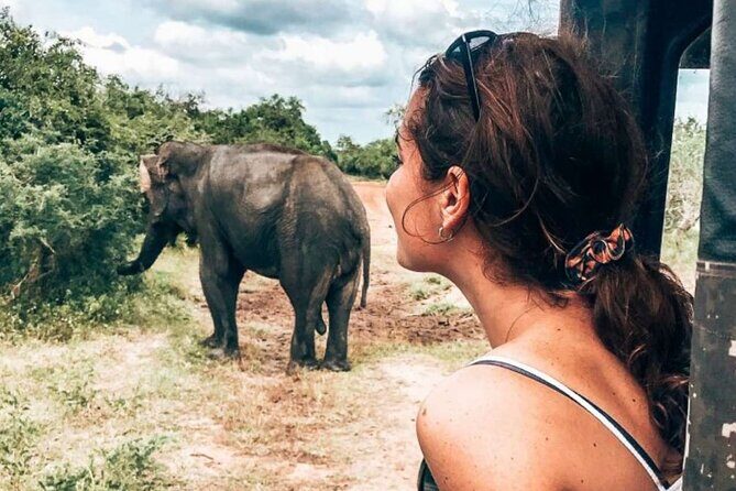 Kumana Safari Drive from Arugam Bay - Practical Tips and Considerations