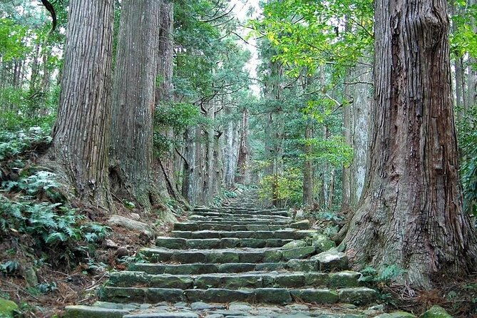 kumano-kodo-half-day-daimonzaka-and-nachi-taisha-tour