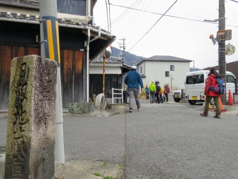 Kumano Kodo: Kiiji Pilgrimage Route Walking 7 Tours - What are the different routes and highlights?