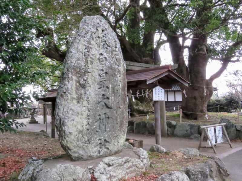 Kumano Kodo: Kiiji Pilgrimage Route Walking 7 Tours - Who Is This Tour Best For?