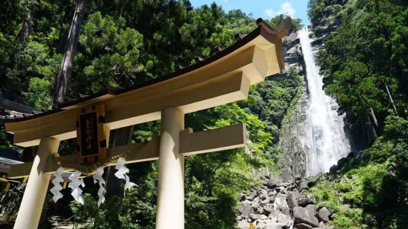 Kumano Kodo & Kumano Sanzan One-Day Tour from Osaka - Guides and Local Insights
