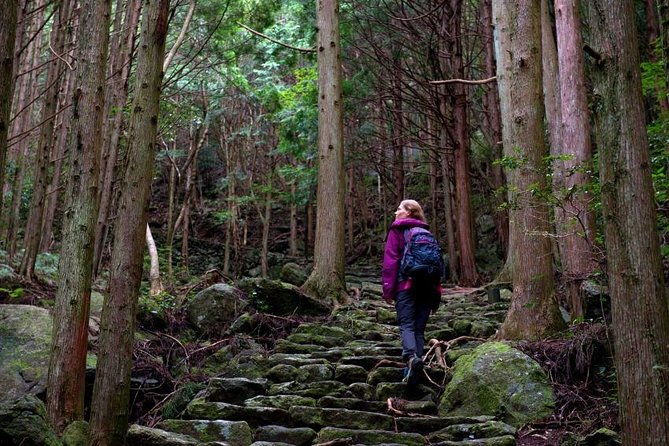 kumano-kodo-pilgrimage-full-day-private-trip-with-government-licensed-guide