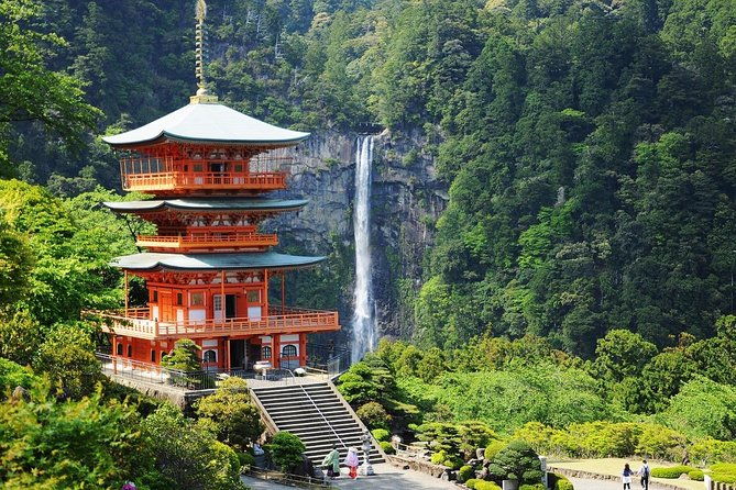 kumano-kodo-pilgrimage-full-day-private-trip-with-government-licensed-guide