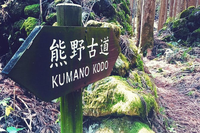 kumano-kodo-pilgrimage-full-day-private-trip-with-government-licensed-guide
