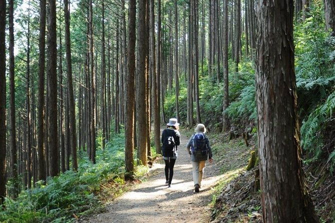 kumano-kodo-pilgrimage-full-day-private-trip-with-government-licensed-guide
