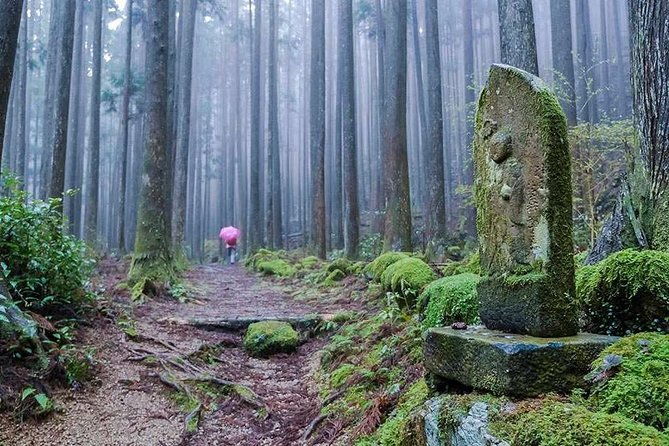 kumano-kodo-pilgrimage-full-day-private-trip-with-government-licensed-guide