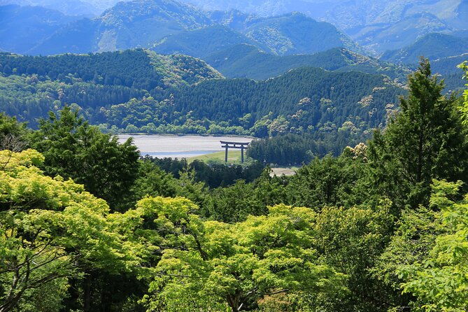 kumano-kodo-pilgrimage-tour-with-licensed-guide-vehicle
