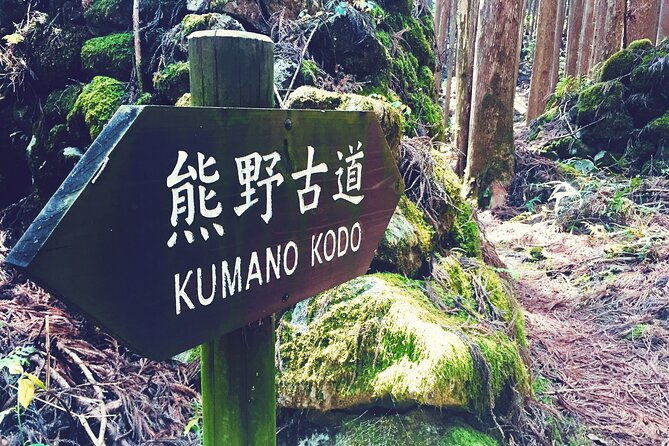 kumano-kodo-pilgrimage-tour-with-licensed-guide-vehicle