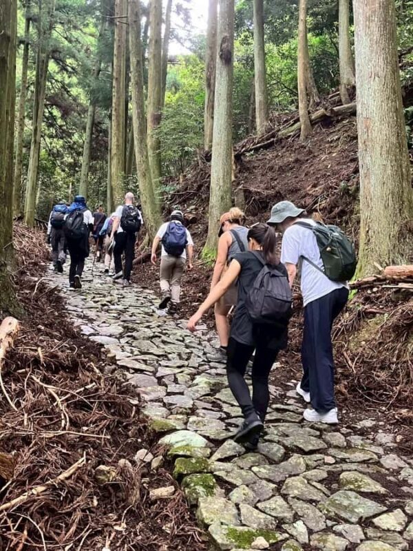 Kumano Kodo: Shishigase Pass Hike and Hot Spring Tour - Key Points