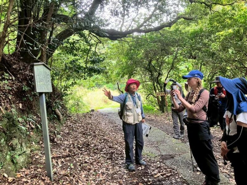 Kumano Kodo: Shishigase Pass Hike and Hot Spring Tour - The Itinerary: A Deep Dive into the Experience