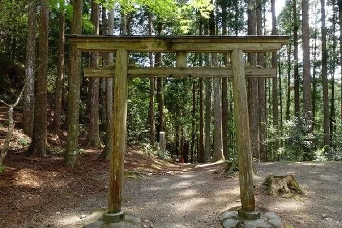 kumanokodo-1-day-walking-tour