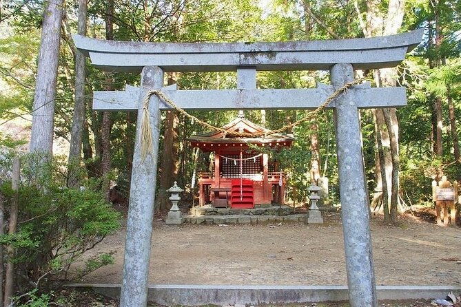 kumanokodo-1-day-walking-tour