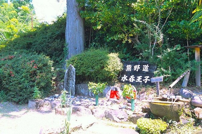 kumanokodo-1-day-walking-tour