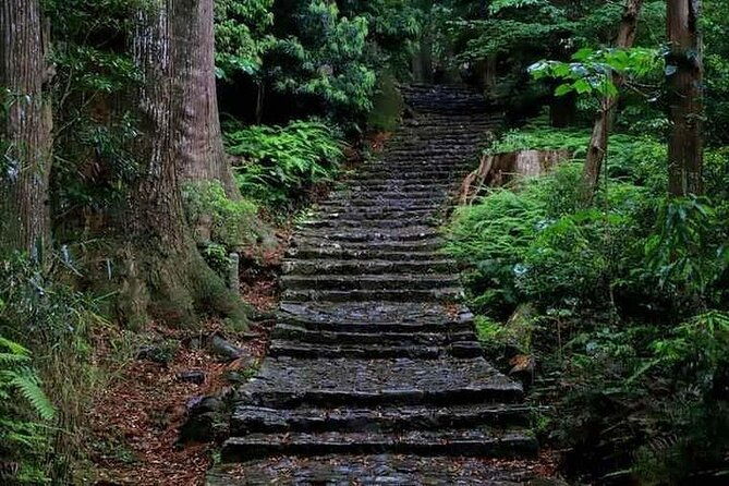kumanokodo-2-day-walking-tour-from-osaka