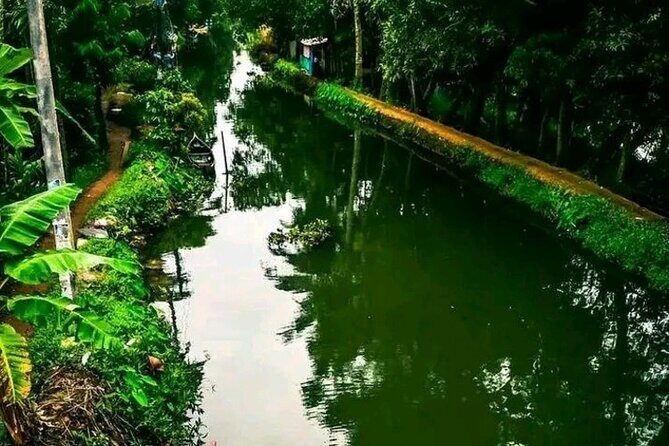 Kumarakom Explore Backwaters & Birds at Coconut Lagoon Pick&Drop - A Detailed Look at the Tour Experience
