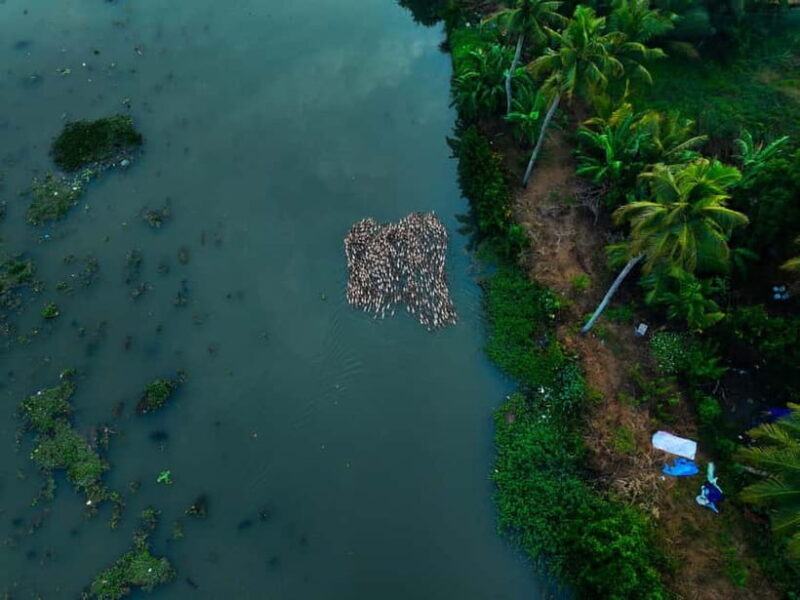 Kumarakom: Sunset Cruise with Village Life and Local Food - Authenticity, Comfort, and Connectivity