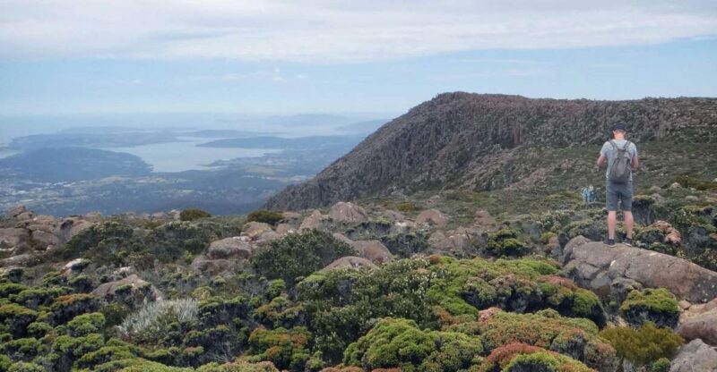 Kunanyi & Mt Wellington Explorer Bus: One-Way Bus Pass - What to Do at the Top
