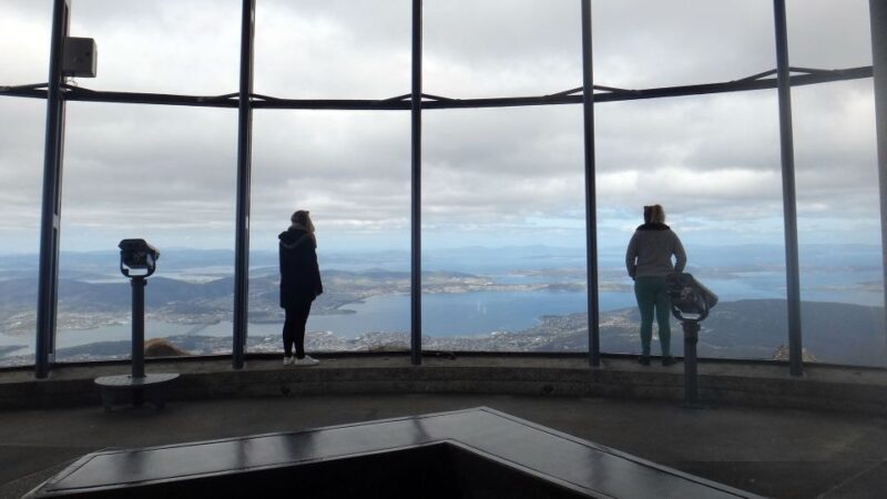 Kunanyi & Mt Wellington Explorer Bus: One-Way Bus Pass - The Downhill Options: Walk or Bike