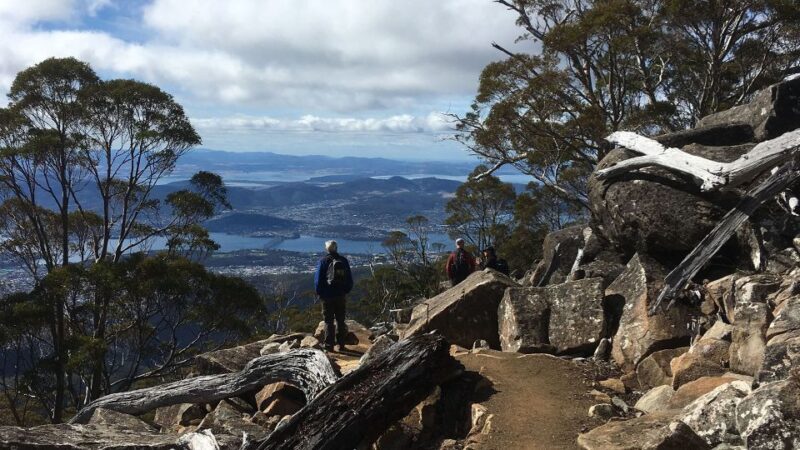 Kunanyi & Mt Wellington Explorer Bus: One-Way Bus Pass - Accessibility and Family-Friendly Features