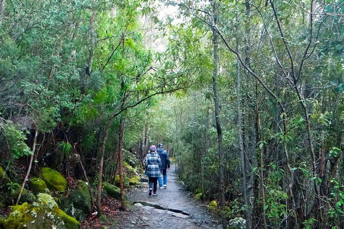 kunanyi/Mt Wellington Explorer Bus - One Way Tour - Exploring Hobart’s Iconic Summit: The kunanyi/Mt Wellington Explorer Bus - One Way Tour