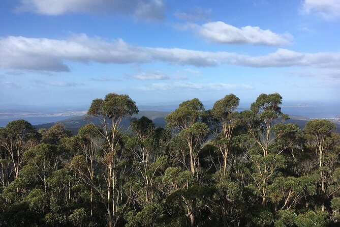kunanyi/Mt Wellington Explorer Bus - One Way Tour - Who Will Love This Experience?