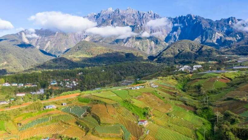 kundasang-day-tour-with-desa-dairy-farm-and-alpaca-club