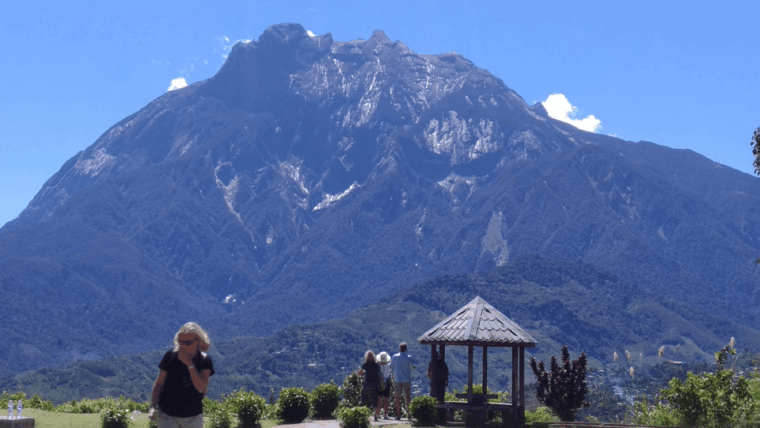 kundasang-day-tour-with-desa-dairy-farm-and-alpaca-club