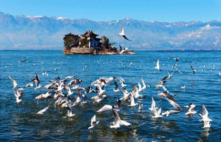 kunming-7-day-yunnan-highlights-tour